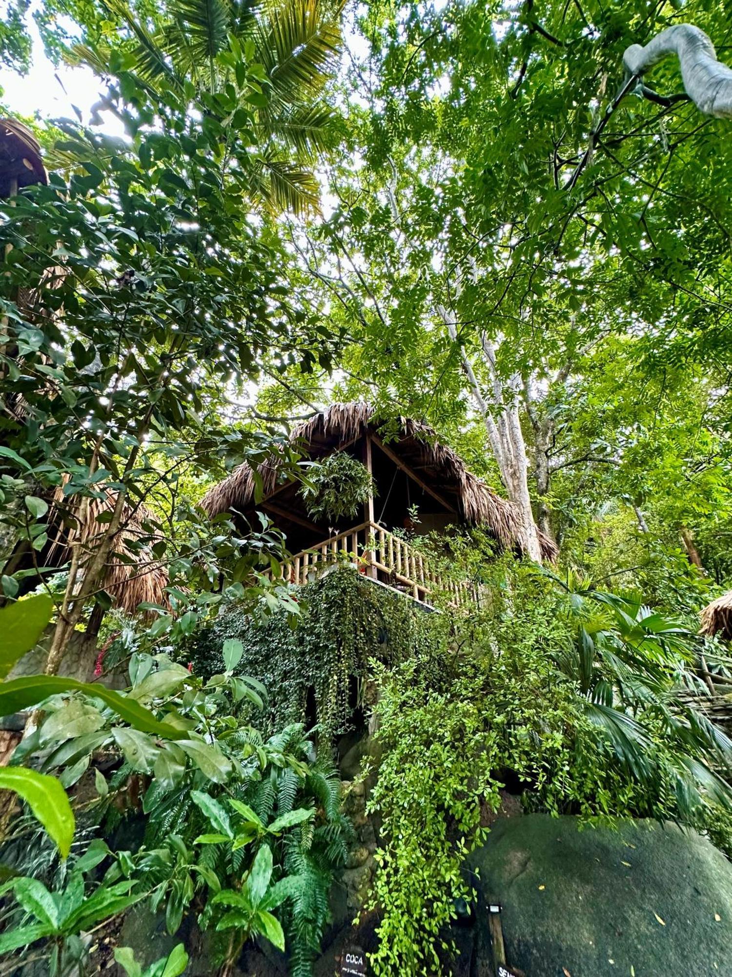 Eco Hostal Yuluka El Zaino Exterior foto